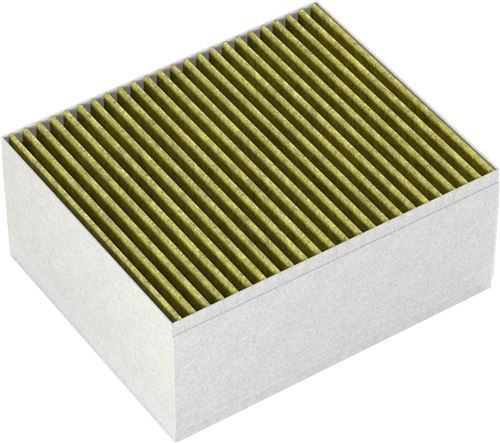 Filtre à charbon CleanAir Plus (remplc.) 17004042