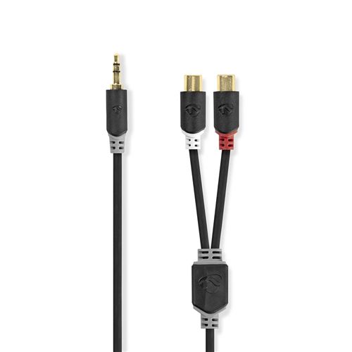 Câble Audio Stéréo 3,5 mm Mâle - 2x RCA Femelles 0,2 m Anthracite