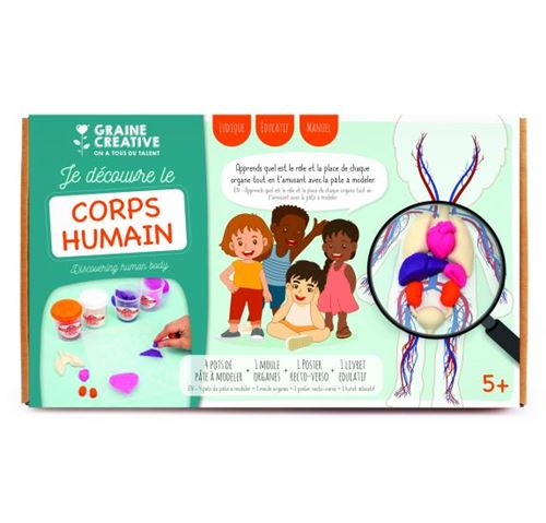 Kit Moulage Educatif anatomie 320 x 186 x 90 mm