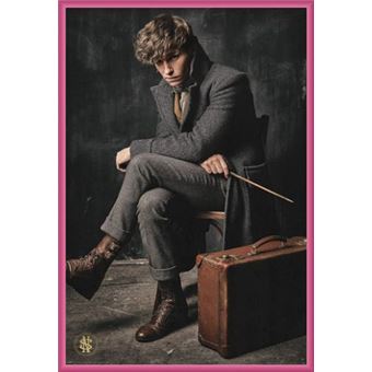 Poster Encadré Les Animaux Fantastiques Les Crimes De Grindelwald Newt Scamander 91x61 Cm Cadre Plastique Pink