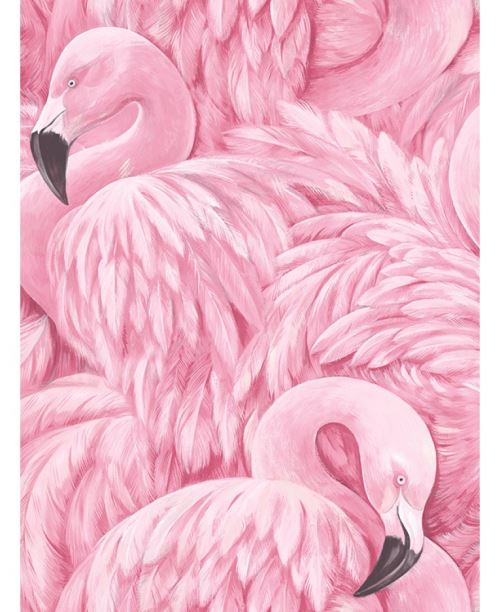 Flamant Papier peint Rose Rasch
