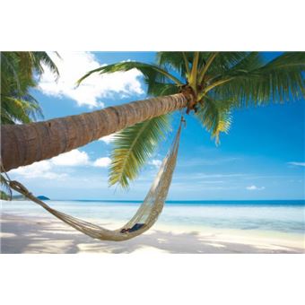 Plages Papier Peint Photo Poster Autocollant Plage De Reves Avec Palmier Et Hamac 120x180 Cm Autre Poster Top Prix Fnac