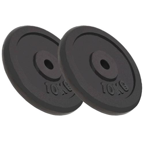 Plaque de poids 2 pcs 2x10 kg Fonte Vidaxl n/a