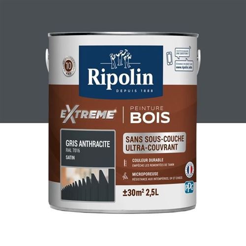 Peinture mur, cuisine et bain RIPOLIN gris anthracite satine 2