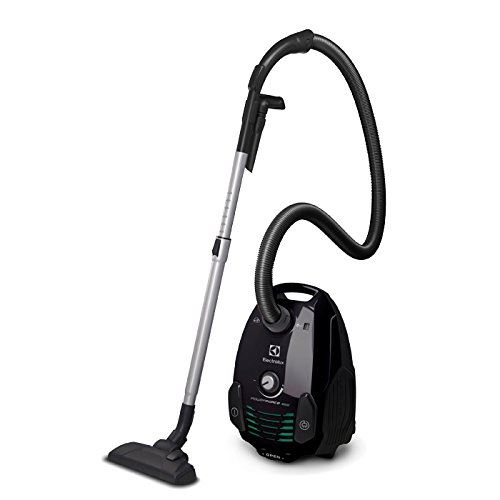 Electrolux epf6green – Aspirateur (800 W, A, 27,5 kWh, aspirateur cylindrique, Sac pour la poussière, 3,5 l)