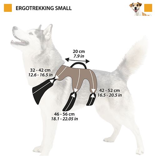 Harnais en cuir pour chien - Sur mesure - Ergonomique - L'Explorateur