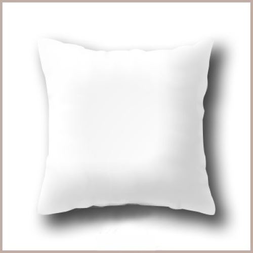 Oreiller Sagesse 65 x 65 LCL