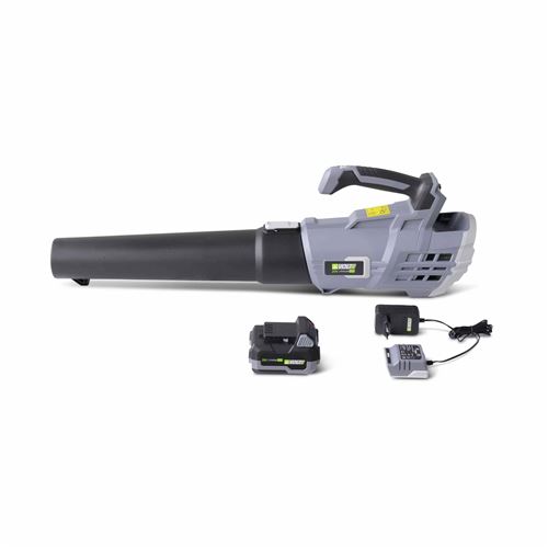 Souffleur de feuilles 20V 4 vitesses à batterie 20V 40Ah