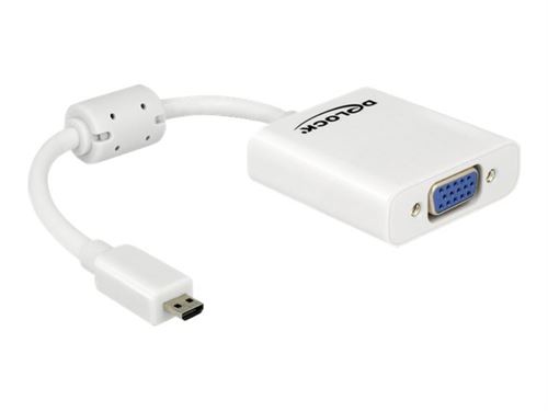 Delock Blanc - Convertisseur Vidéo - Vga