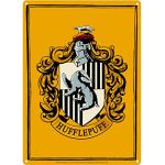 Logoshirt - Harry Potter - Serpentard - Classique - Logo - Plaque en métal  - Signe métal - Rétro - 20x30 - Design Original sous Licence : :  Cuisine et Maison