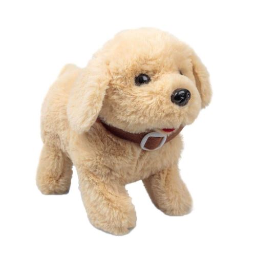 Retournement de chiot - Labrador