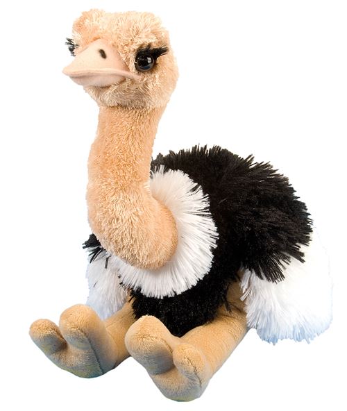 Wild Republic autruche en peluche, peluche, jouet en peluche, cadeaux pour enfants, Cuddlekins 12 pouces