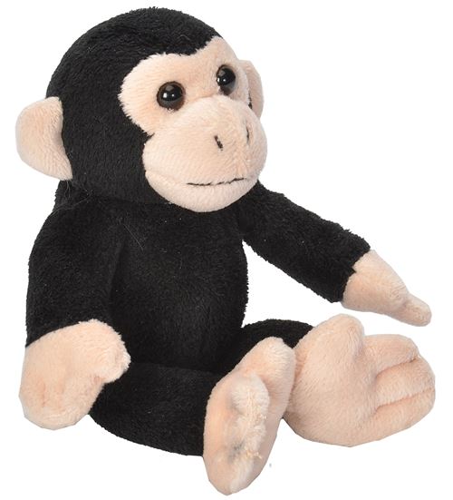 Wild Republic - 18109 - 18109 - Peluche - CK Lil's Chimpanzé Singe - 15 cm