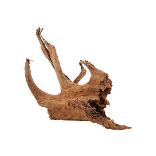 Comparer les prix de Zolux - Racine naturelle Mangrove 40/60 cm
