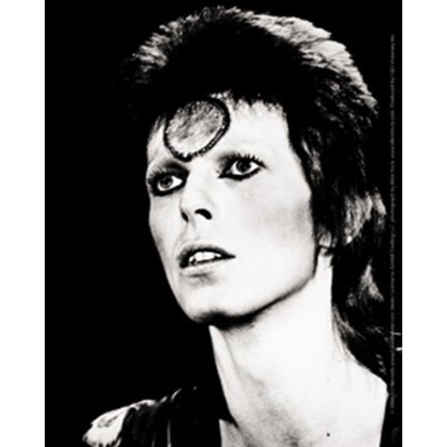 Licences Produits David Bowie Sticker Noir et Blanc