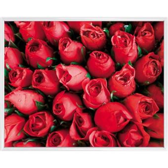 Poster Reproduction Encadré Roses Roses Rouges Mer De Fleurs 40x50 Cm Cadre Plastique Blanc