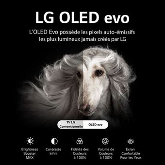 TV LG OLED evo G2 | Gallery Edition | 2022 | 55'' (139 cm) | UHD | Processeur α9 Gen5 AI