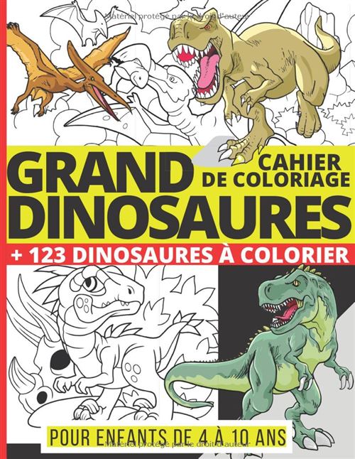 Grand cahier de coloriage dinosaures – 123 dinosaures à colorier pour enfants de 4 à 10 ans (T‑Rex, Tricératops, Diplodocus, Ptéranodon)