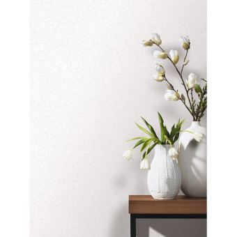 Scarica Gratis Images Motif Geometrique Scintiller Papier Peint Blanc Et Argent Decors dernière par