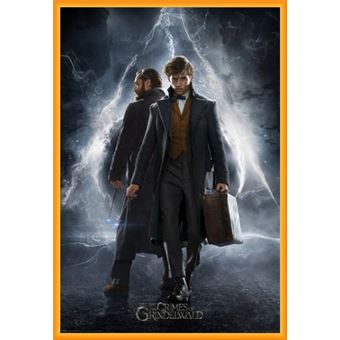 Poster Encadre Les Animaux Fantastiques Les Crimes De Grindelwald Newt Dumbledore 91x61 Cm Cadre Plastique Orange Poster Affiche Encadre Top Prix Fnac