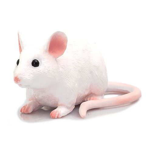 Mojo Fun 387235 Souris Jouet réaliste pour animaux de compagnie