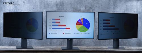 KAPSOLO Filtre de confidentialité 4 Voies pour écran 55,88 cm (22) Wide 16:9