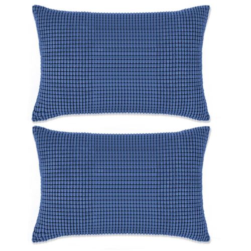vidaXL Jeu de coussin 2 pcs Velours 40 x 60 cm Bleu