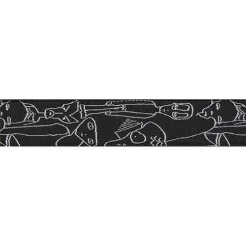 Sangle planet waves joe satriani silver sketches 50js05