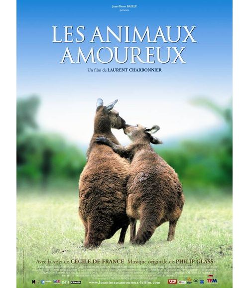 Acheter Les Animaux Amoureux AFFICHE CINEMA ORIGINALE État correct - 14,99 € Les Animaux Amoureux AFFICHE CINEMA ORIGINALE État correct - N/A reconditionné disponible sur Fnac