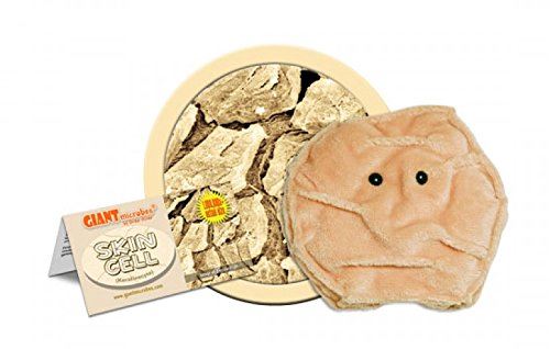 Peluche à cellules de peau microbes géants (kératinocytes)