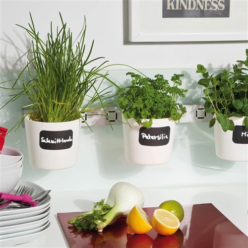 Plantes Aromatiques En Pot Dans La Cuisine Pots Pour Plantes Et Herbes Aromatiques A Suspendre Vega Blanc Achat Prix Fnac