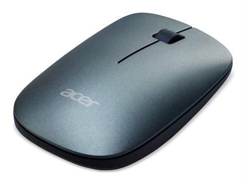 Acer AMR020 - Souris - droitiers et gauchers - optique - 3 boutons - sans fil - 2.4 GHz - récepteur sans fil USB - gris sidéral - Pour la vente au détail