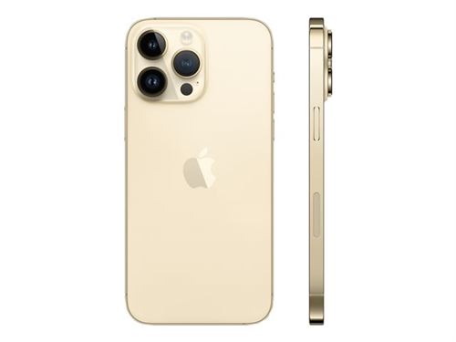 Apple iPhone 14 Pro Max 17 cm (6.7"") Double SIM iOS 16 5G 256 Go Or