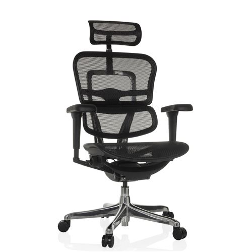 hjh OFFICE Luxus Chefsessel ERGOHUMAN ULTRA GEN2 Netzstoff mit Armlehnen (höhenverstellbar)