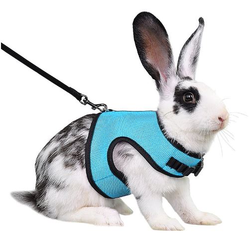 Meilleurs prix pour Harnais Lapins Cochons Petits Animaux Réglable Maille FONGWAN avec Laisse Élastique Gilet Souple, XL - Bleu