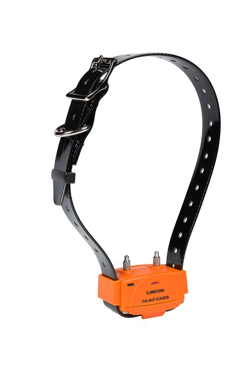 Meilleurs prix pour NUM'AXES -  Collier seul - CANICOM - avec plasturgie orange et sangle noire