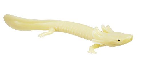 Safari Des Créatures Incroyables Briller Dans Le Sombre Mudpuppy