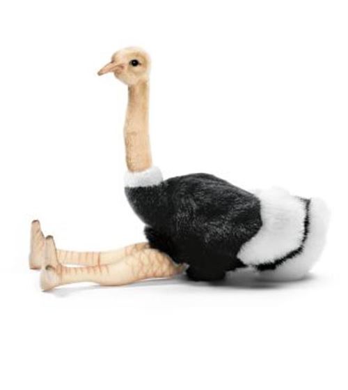 Hansa autruche 8 peluche