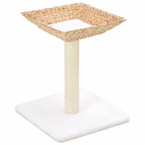 Arbre A Chat Avec Griffoirs En Sisal Herbiers Marins 48 Cm Avec 1 Panier Et Coussin Amovible Paniers Et Mobilier Pour Chat Achat Prix Fnac Arbre A Chat Avec Griffoirs En Sisal Herbiers Marins 48 Cm Avec 1 Panier Et Coussin Amovible Paniers Et Mobilier Pour Chat Achat Prix Fnac