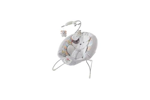 Transat Fisher Price Deluxe Câlins Tout Doux