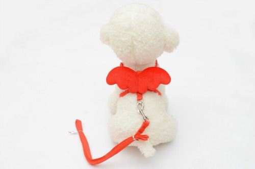 Comparer les prix de Ange mignon de chien Leads et colliers Set pour Rongeur Designer Wing réglable