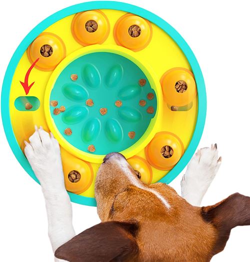 Jouets de Puzzle pour chiens,mangeoire lente,jouet d'entraînement pour chiens et chats