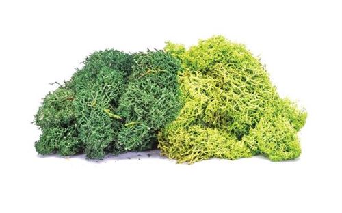 Skale Scenics Lichen - Large Green Mix - Humbrol