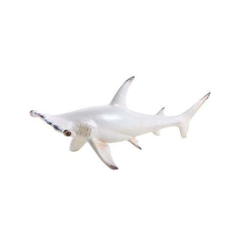 Aubry Gaspard - Requin marteau en résine blanc