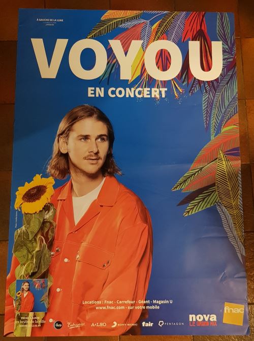 Voyou - En concert 2019 - AFFICHE