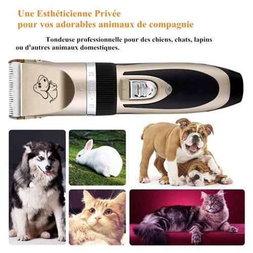 Tondeuse Chien Professionnelle Charge Marsee Rapide Tondeuse Chat Persan Silencieuse Tondeuse Animaux Rechargeable Sans Fil Pour Poil Long Toilettage Pour Chien Achat Prix Fnac Tondeuse Chien Professionnelle Charge Marsee Rapide Tondeuse Chat Persan Silencieuse Tondeuse Animaux Rechargeable Sans Fil Pour Poil Long Toilettage Pour Chien Achat Prix Fnac