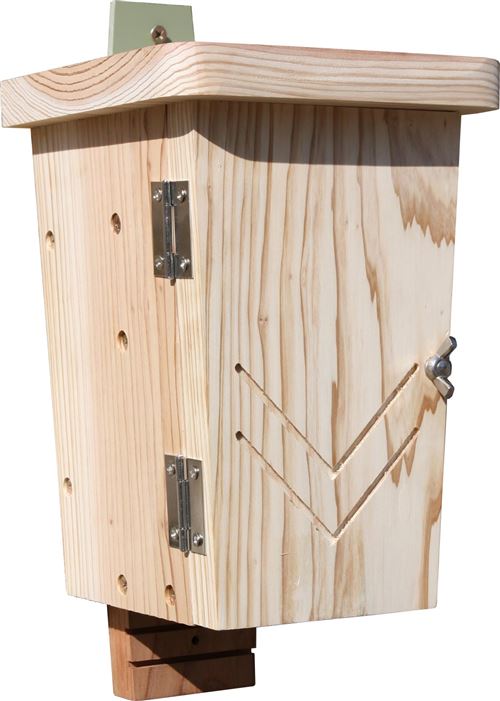 Meilleurs prix pour Wildlife World - Cabane à chauve-souris L'authentique