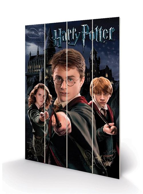 HARRY POTTER - Harry Ron & Hermione - Impression sur bois 40x59cm