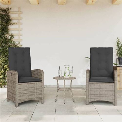 VidaXL - Gartensessel verstellbar poly-rattan, One Size, Grau