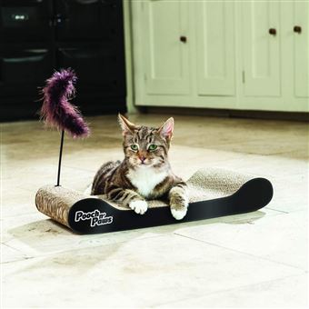 Grattoir skateboard pour chat - 27,12 €